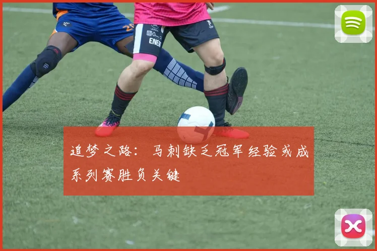 追梦之路：马刺缺乏冠军经验或成系列赛胜负关键